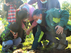 MUSA planta seis palmas chilenas junto a sus visitantes