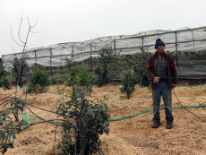 Agricultura regenerativa: La clave para nutrir los suelos de la comuna de San Antonio