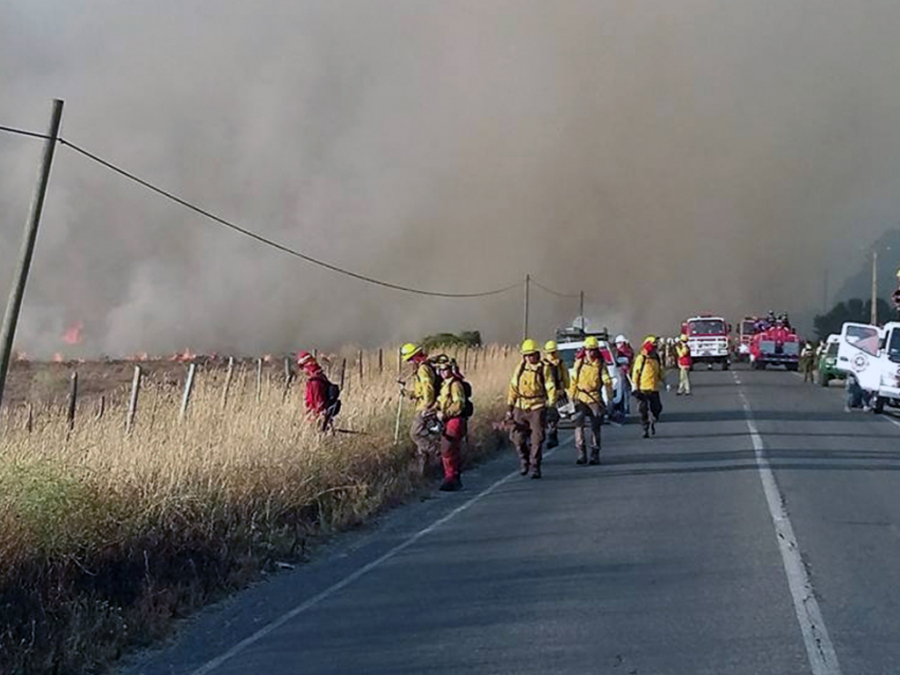 Municipalidad de San Antonio realiza acciones para prevenir los incendios forestales en la comuna