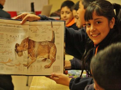 Proyecto “Acompañar a los estudiantes de segundo ciclo básico a entrar a la cultura escrita y desarrollar la literacidad”