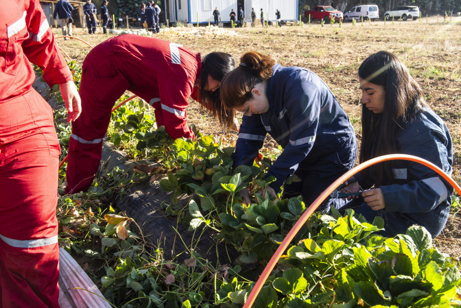 Autoridades recorren establecimientos educacionales del sector rural