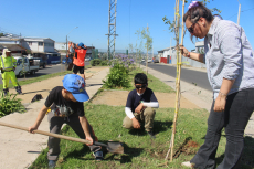 Ni&ntilde;as y ni&ntilde;os se unen en jornada ambiental de plantaci&oacute;n de especies nativas en avenida Manuel Montt