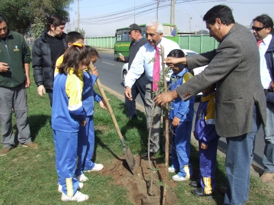 Plantan &Aacute;rboles Nativos en el D&iacute;a de La Tierra en San Antonio