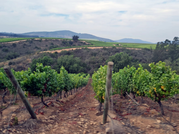 El Servicio de Evaluaci&oacute;n Ambiental presenta informe sobre la Declaraci&oacute;n de Impacto Ambiental por Proyecto Embalse El Canelo