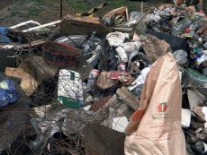 Este domingo 27 de febrero se realizar&aacute; inicio de hito de limpieza y recuperaci&oacute;n del parque DYR