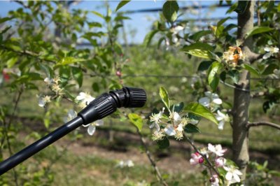 Licitación Pública: “Compra de plaguicidas para control de vectores”
